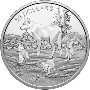預購(限已確認者下單) - 2024加拿大-多面向動物家族-灰狼-62.69克銀幣