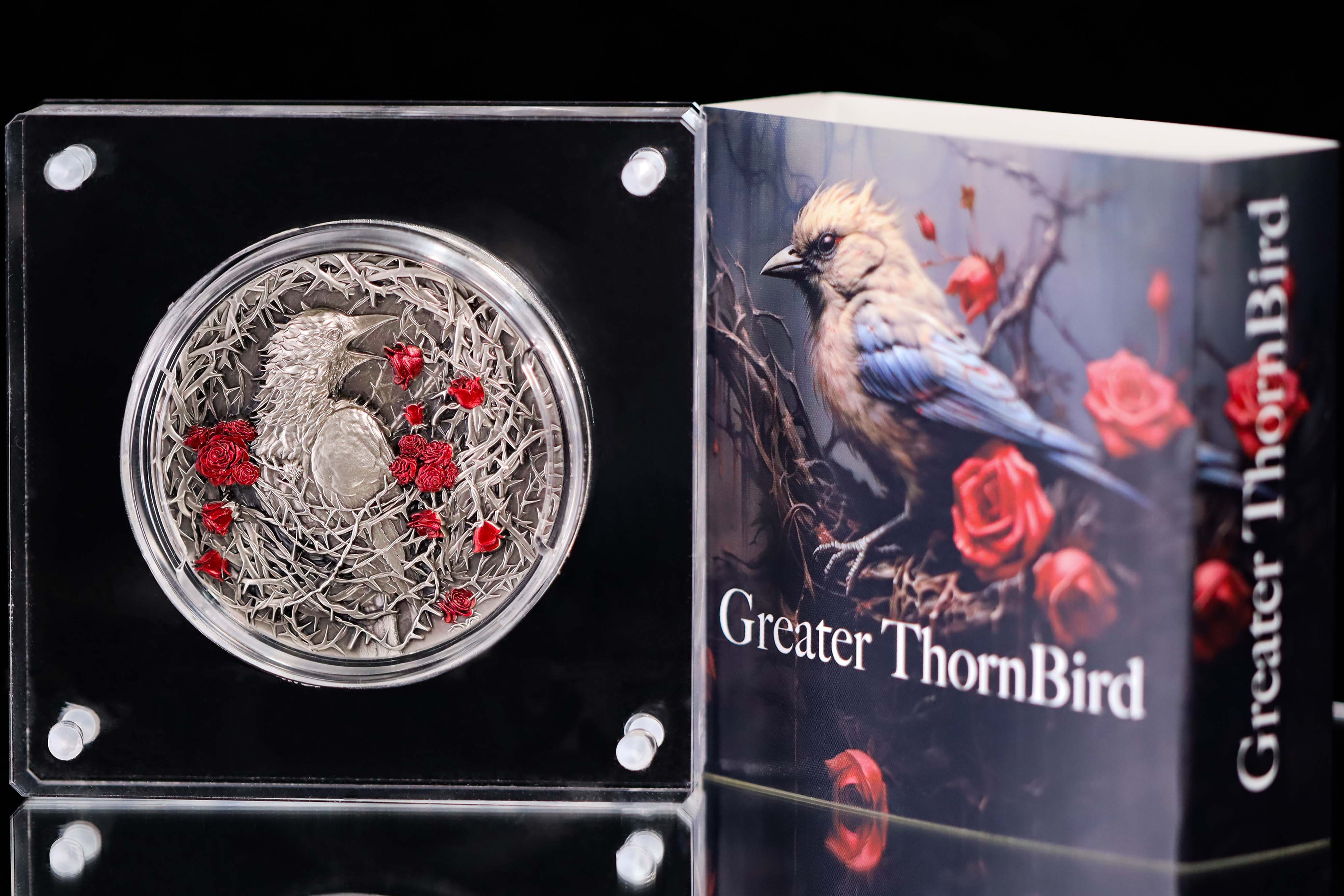Silver with packaging Greater ThornBird-République Gabonaise (5).jpg