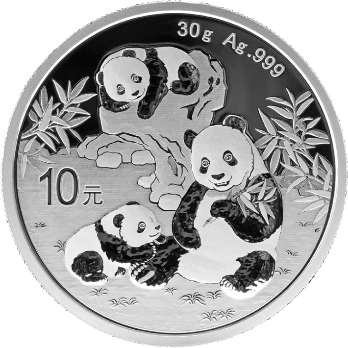 eng_pl_Chinese-Panda-30-gram-Silver-2025-11228_1.png